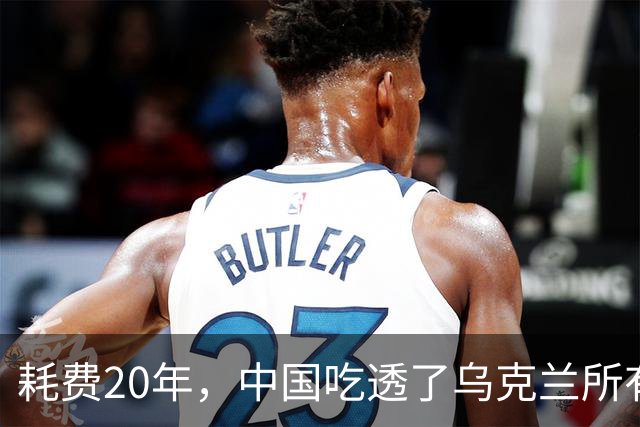 耗费20年，中国吃透了乌克兰所有军工技术，却唯独一样没办法？